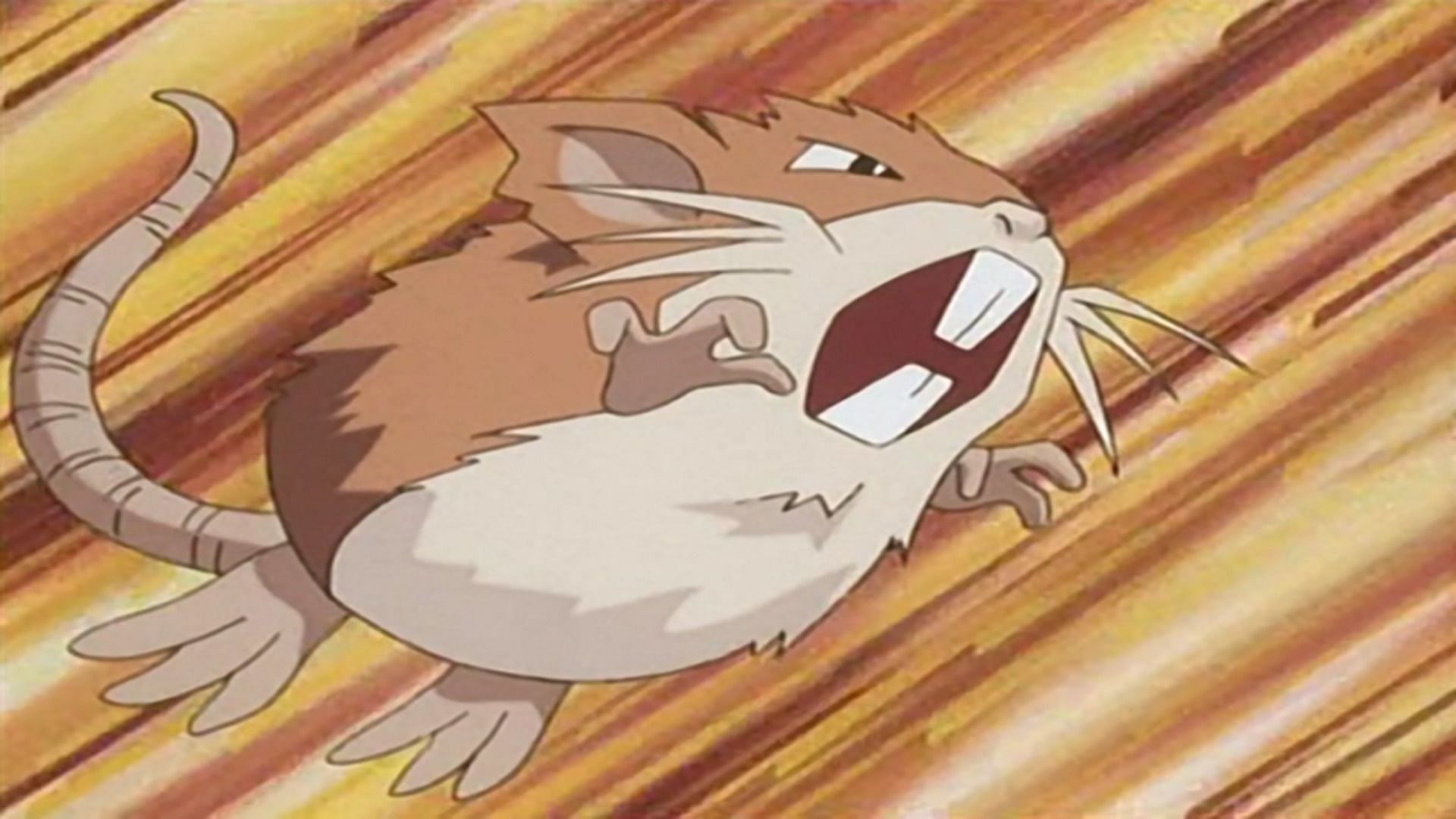 Raticate come visto nell'anime (Immagine tramite The Pokemon Company)