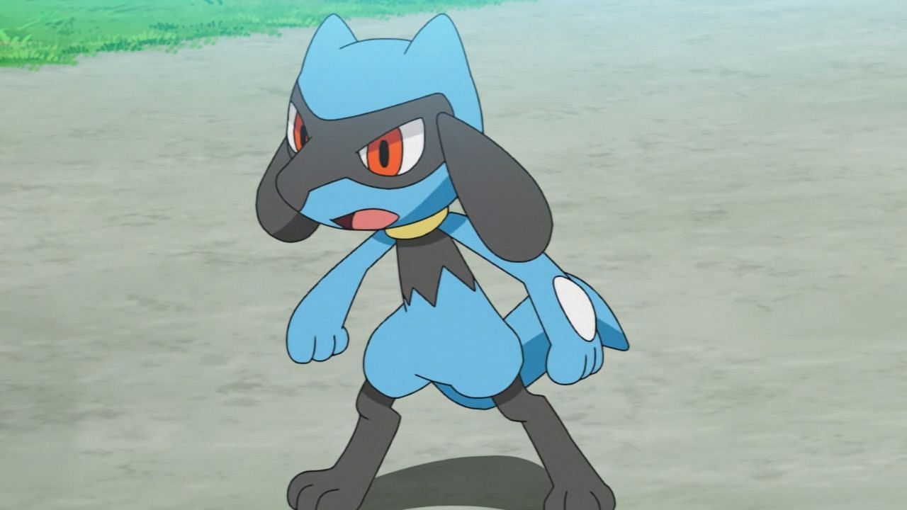 Riolu come visto nell'anime (Immagine tramite The Pokemon Company)