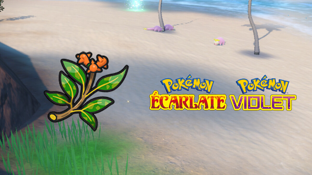 Pokémon Scarlatto e Viola del Ramo di Galanoa: dove trovarlo e a cosa serve?