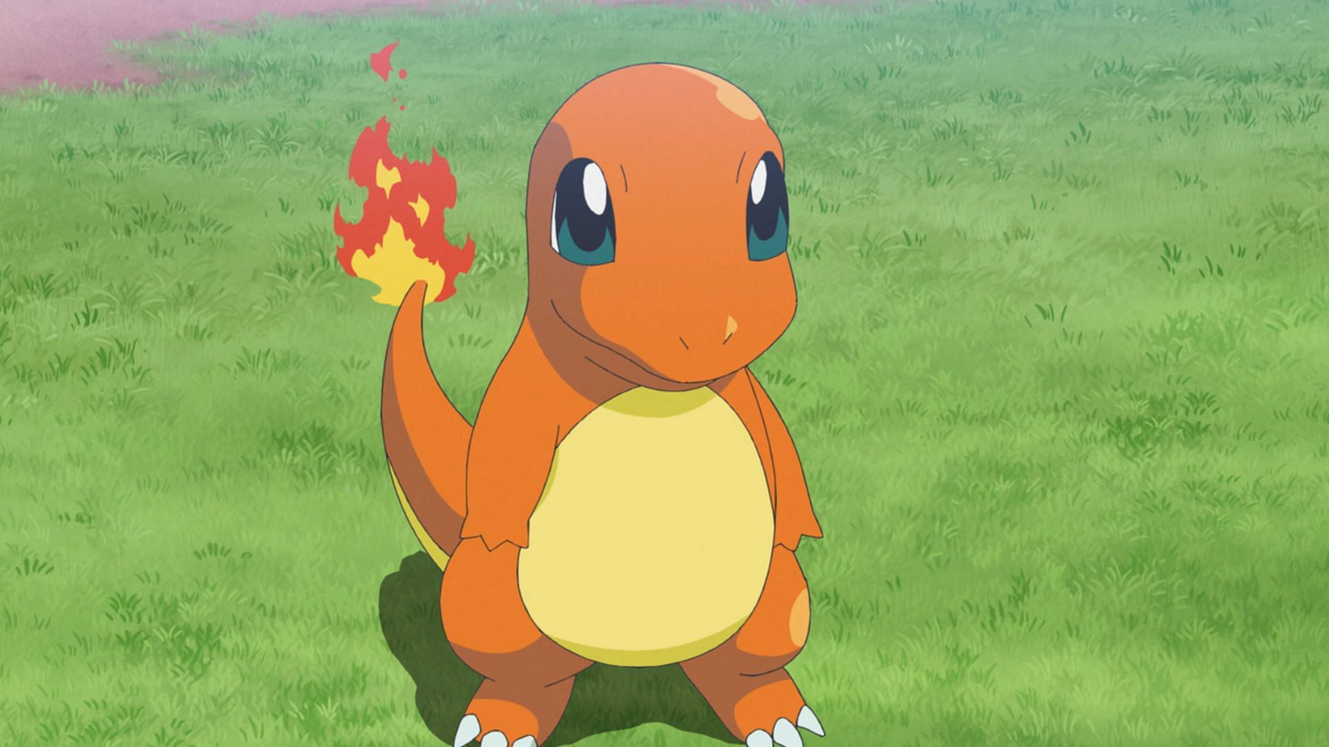 Charmander as seen in the anime