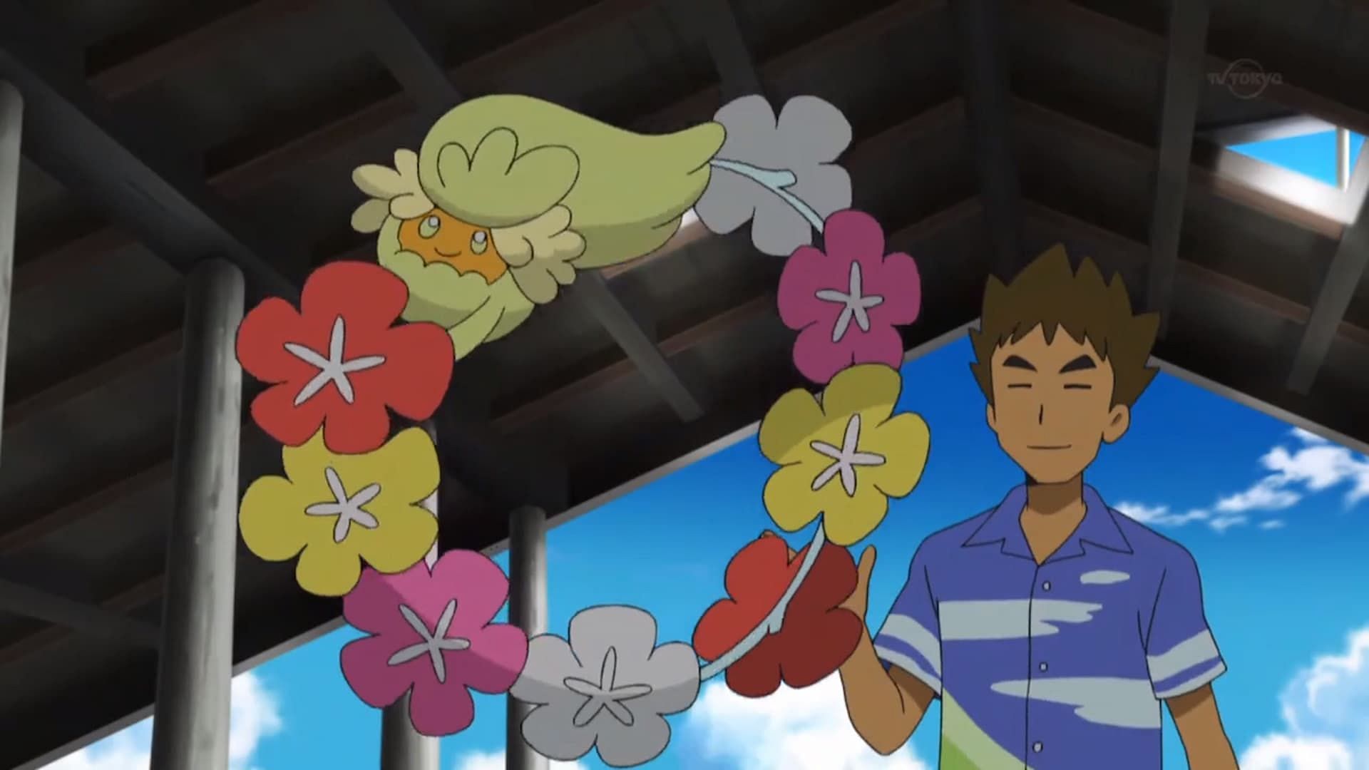 Comfey di Brock nell'anime (Immagine tramite The Pokemon Company)