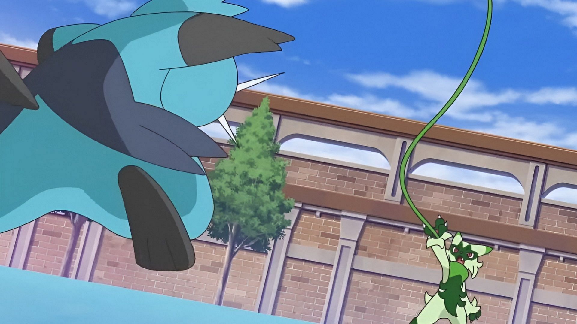 Ann's Dewott e Liko's Floragato combattono all'Accademia Naranja (Immagine tramite The Pokemon Company)