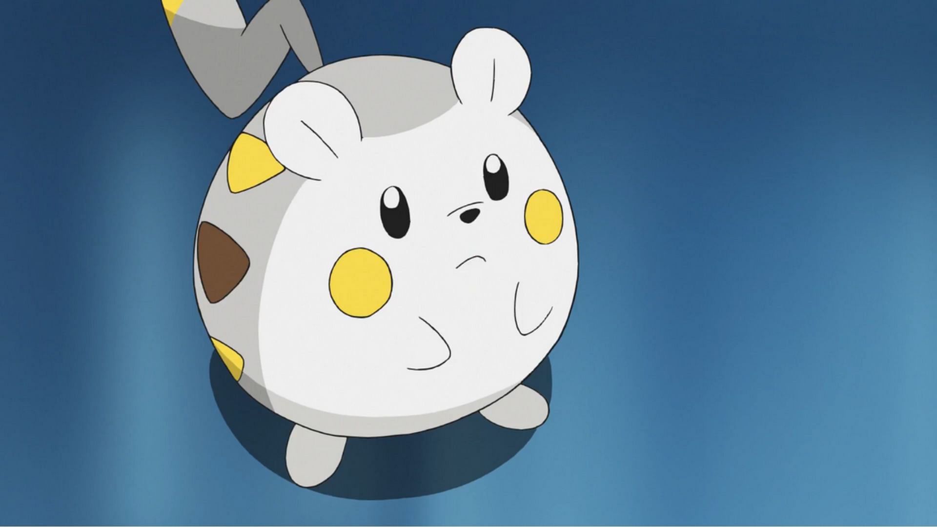 Togedemaru nell'anime (Immagine tramite TPC)