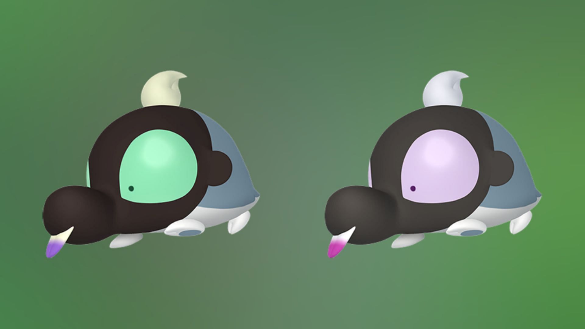 Confronto Shroodle Shiny (Immagine tramite TPC)