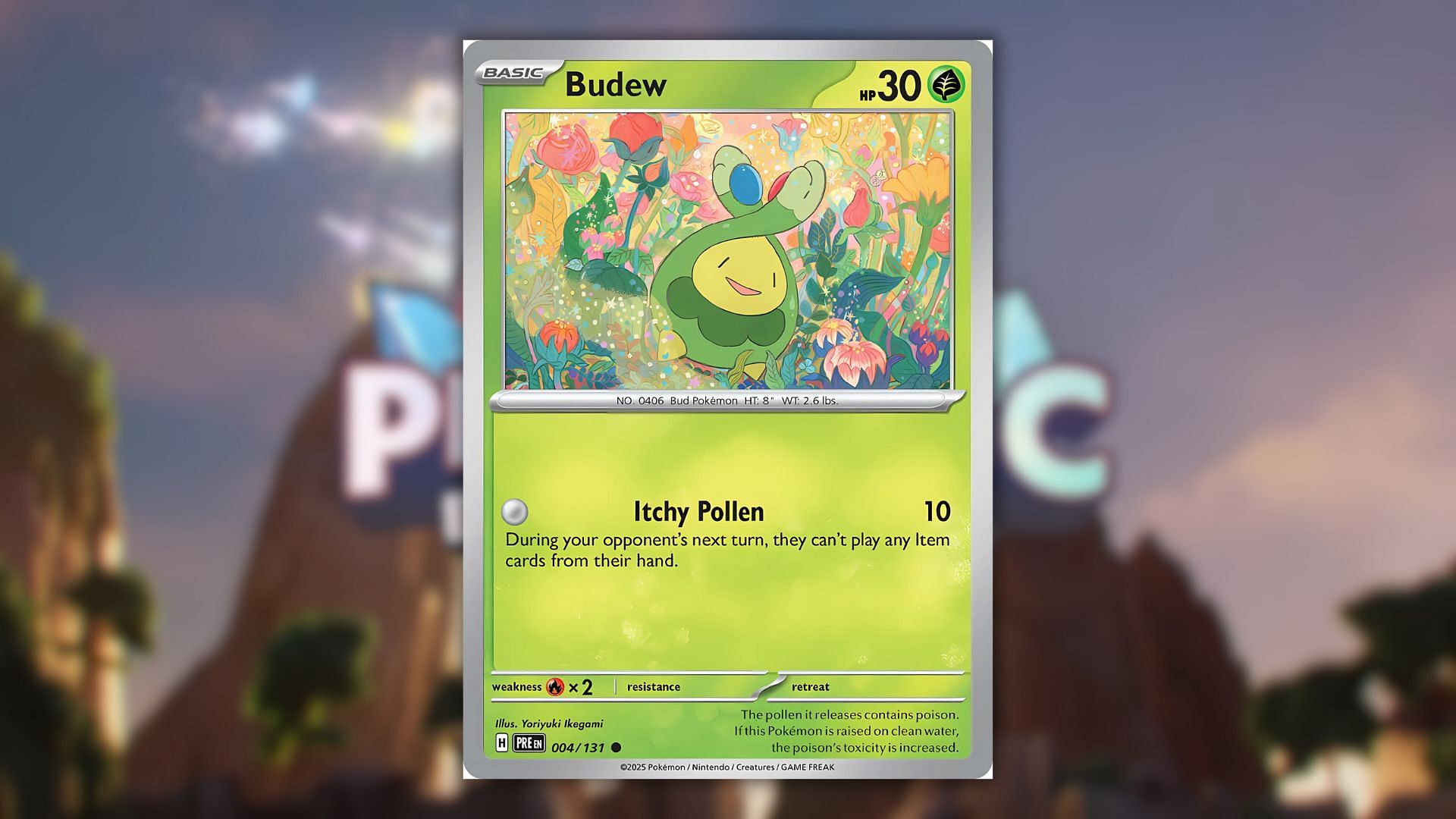 Carta Budew (Immagine tramite The Pokemon Company)