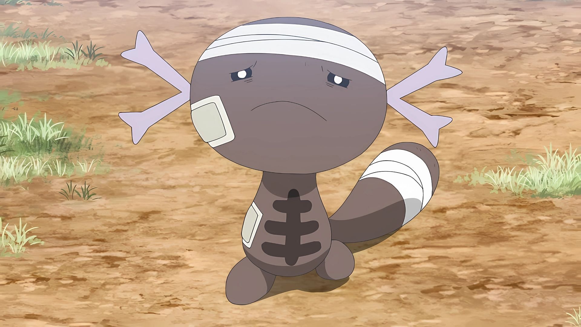 Paldean Wooper nell'anime (Immagine tramite The Pokemon Company)
