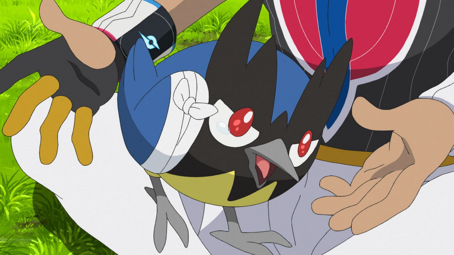 Rookidee nell'anime (immagine tramite TPC)