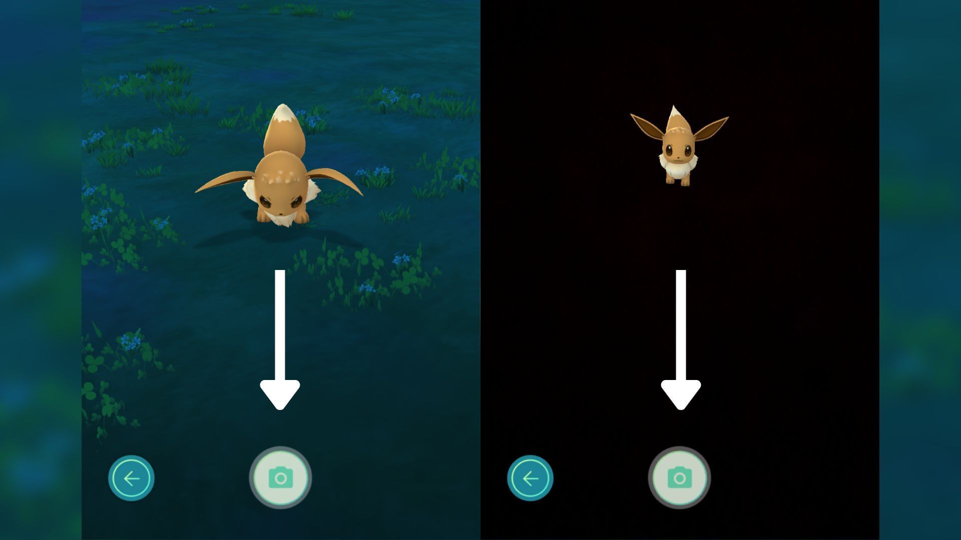 Premi il pulsante di acquisizione per salvarlo nella tua galleria (immagine tramite la società Pokemon)