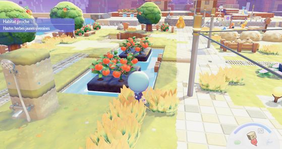Pokémon Pokopia